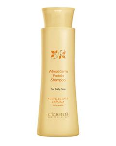 شامپو پروتئینه جوانه گندم سینره مدل Wheat Germ حجم 250 میلی لیتر Cinere Wheat Germ Shampoo 250ml