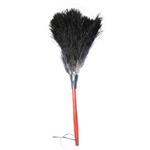 گردگیر آلین مدل Ostrich Feather 4