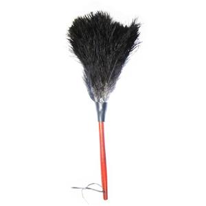 گردگیر آلین مدل Ostrich Feather 4