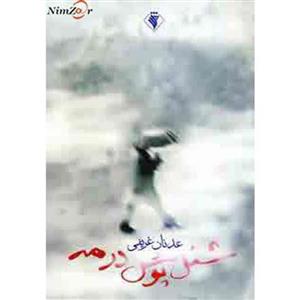 شنل پوش در مه