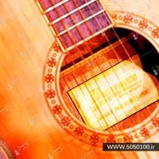 گیتار آگوستیک دادارود