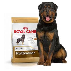 غذای خشک سگ رویال کنین royal canin مخصوص سگ های بالغ نژاد روتوایلر- 12 کیلویی