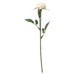 گل مصنوعی ایکیا SMYCKA رز کوچک سفید