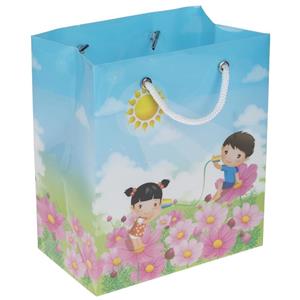 پاکت هدیه عمودی پاپکو کد CX-003 Papco CXF-003 Horizontal Gift Bag 