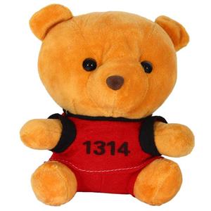 عروسک شیانچی طرح خرس کد 14010078 