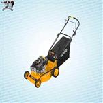 دستگاه چمن زن موتوری اینکو INGCO LAWN MOWER GLM30181