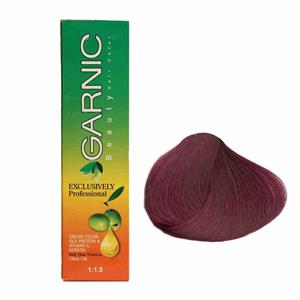 کیت رنگ موی گارنیک سری دودی - بلوند دودی شماره 7.2