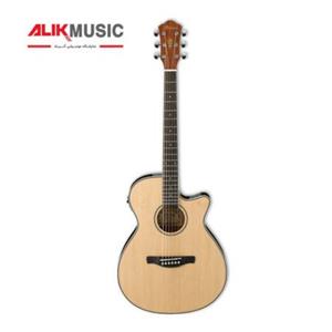 Ibanez AEG  8E NT