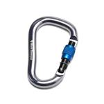 Black Diamond Rocklock Screwgate Carabiner