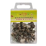 Xin Wei  Steal Push Pin -100Pcs