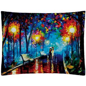 روبالشی رنس مدل P1-10102 سایز 50x70