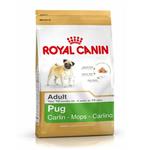 غذای خشک سگ رویال کنین royal canin مخصوص های بالغ نژاد پاگ 1.5 کیلویی 