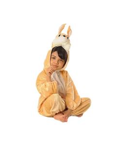 لباس حیوانات کودکان شادی رویان مدل خرگوش 