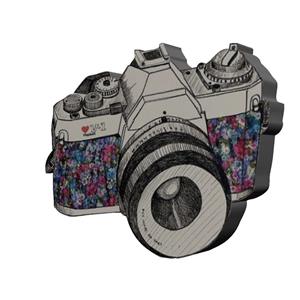پیکسل بانیبو مدل Camera01