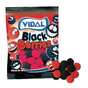   پاستیل تمشک ویدال | vidal pastil black berries