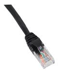 Infilink Patch Cord Cat6 UTP 2M