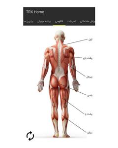 بند TRX  پروسیستم TRX Home TRX PRO SYSTEM