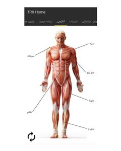 بند TRX  پروسیستم TRX Home TRX PRO SYSTEM