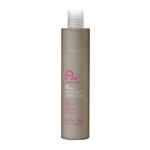 EVA Professinal Grey Shampoo 300ml