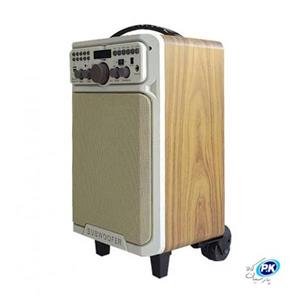 اسپیکر شارژی و اکو همراه حرفه ای