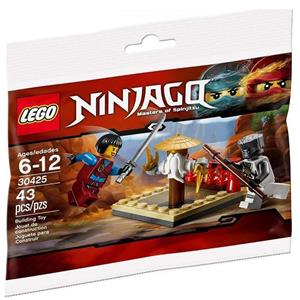 لگو سری Ninjago مدل CRU Masters Training Grounds 30425