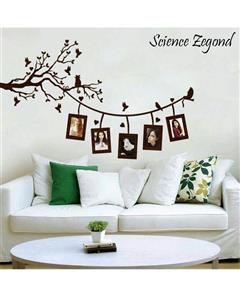 Science Zegond درخت Esthesia دارای 5 قاب عکس