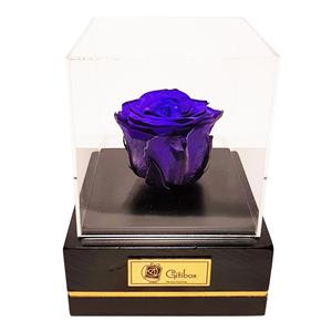 جعبه گل ماندگار گیتی باکس مدل رز جاودان آبی تیره کاج Gitibox Kaj Dark Blue Preserved Rose Flower Box