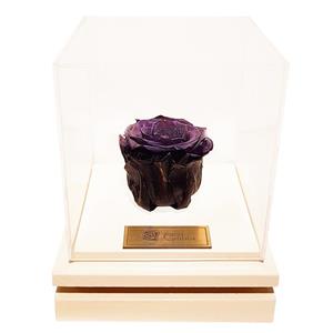 جعبه گل ماندگار گیتی باکس مدل رز جاودان مشکی بالسا Gitibox Black Balsa Preserved Rose Flower Box