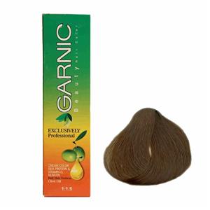 کیت رنگ موی گارنیک سری دودی - بلوند دودی تیره شماره 6.2