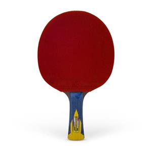 راکت پینگ پنگ جاینت دراگون مدل  Yengisar 5Star Giant Dragon Yengisar 5Star  Ping Pong Racket