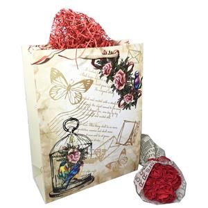 پاکت هدیه ایرسا طرح هدیه-17 به همراه دسته گل کاغذی 