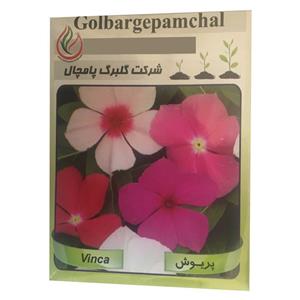 بذر گل پریوش فصل سبز مدل GP22