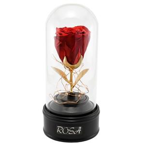 جعبه گل ماندگار موزیکال رزا مدل رز جاودان قرمز