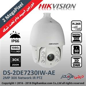 دوربین دام 2 مگاپیکسل PTZ هایک ویژن مدل DS-2DE7230IW-AE Hikvision DS-2DE7230IW-AE 2MP 30X Network IR PTZ Dome Camera