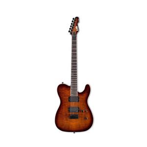 ESP-LTD TE-401 DBSB | گیتار الکتریک