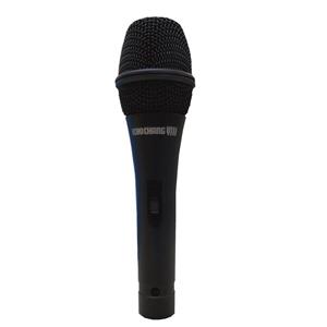 میکروفن اکو چنگ مدل بتا 5 Echo Chang microphone model beta5