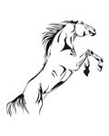 Bluelans Fashion Jumping Horse DIY Animal Mural Wall Sticker Home Office Room Decal Decor 91.4cm by 40.6cm