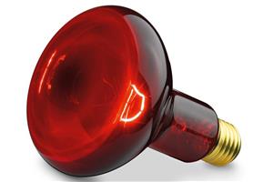  لامپ مادون قرمز بیورر   Beurer IL11 Infrared Lamp
