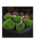 Bluelans 5 Pcs Artificial Green Grass Moss Foam Stone Micro Landscape Terrariums Decor