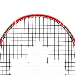 راکت بدمینتون مکس پاور مدل Quantum 50