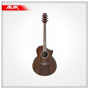 گیتار آکوستیک آیبانز مدل EW20WNE NT