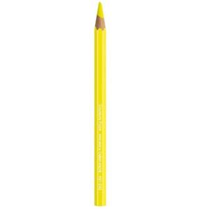 مداد های لایت کارن داش مدل 491 Caran dAche 491 Highlighter Pencils
