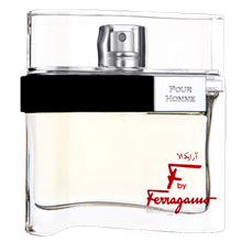 ادوتویلت مردانه Salvatore Farragamo F by Ferragamo (Men) 100ml