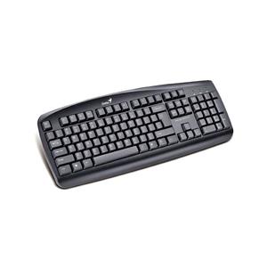 کیبورد جنیوس KB-110X USB Genius KB-110X USB Keyboard