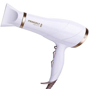 سشوار پرینسلی PR239 Princely PR239 Hair Drier