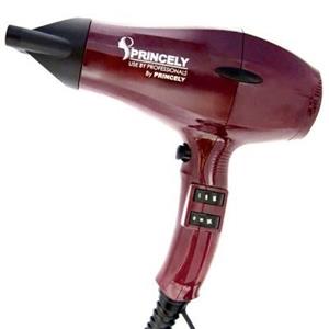 سشوار پرینسلی PR242 Princely PR242 Hair Drier