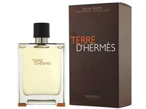 اسپری اکو مدل Terre Dhermes حجم 200 میلی لیتر مناسب برای آقایان Ecco Terre Dhermes Spray For Men 200ml