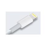 Apple Original Lightning to USB Cable for iPhone