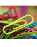 Panter Colored Paper Clips Size 28mm - Pack of 100