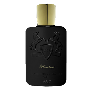 ادوپرفیوم زنانه-مردانه Parfums De Marly Hamdani 125ml Parfums De Marly Hamdani Eau De Parfum Unisex 125ml